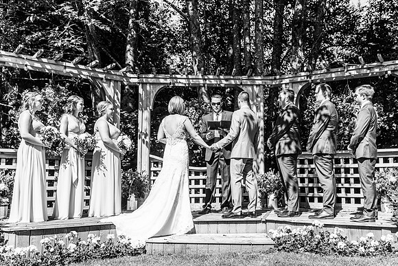 225Allen's Wedding 2017