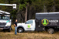 Grace Tree Service 2025