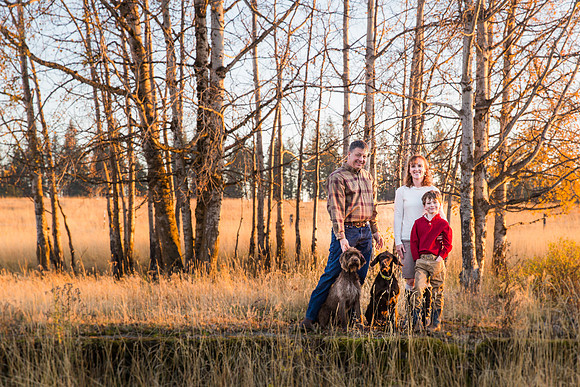 The Malley's 2017
