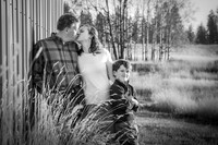 The Malley's 2017