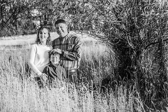 The Malley's 2017