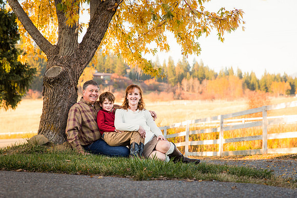 The Malley's 2017