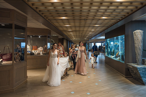 Plastino Wedding 2023