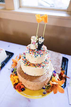 Jerry & Annie Allen Wedding 2024