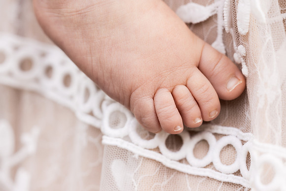 Donohoe Family 2023