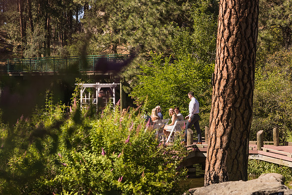 Sharrett Wedding 2025