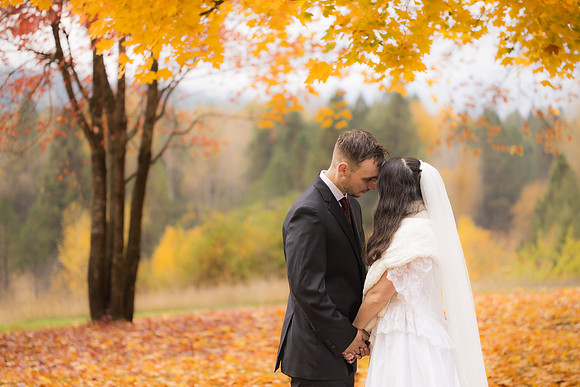 Stephenson Wedding 2023