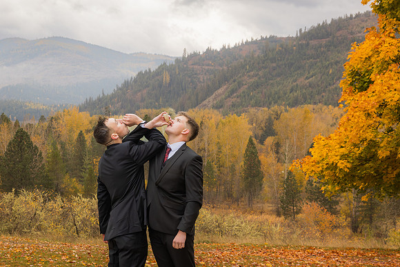 Stephenson Wedding 2023