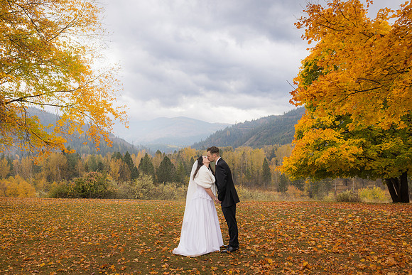 Stephenson Wedding 2023