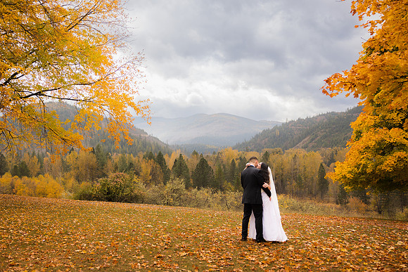 Stephenson Wedding 2023