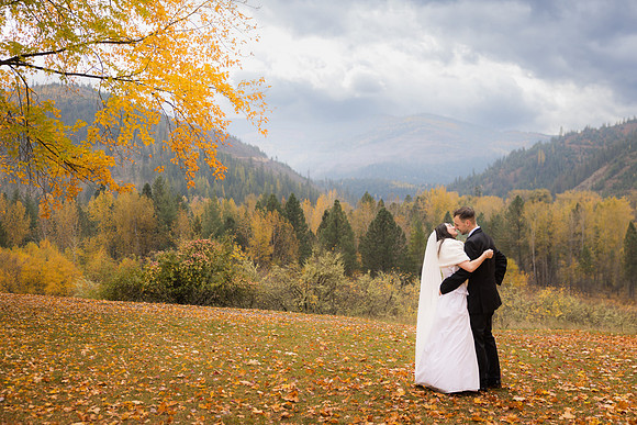 Stephenson Wedding 2023