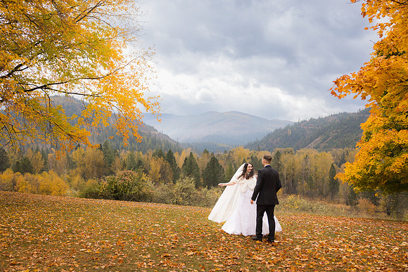 Stephenson Wedding 2023