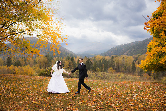 Stephenson Wedding 2023