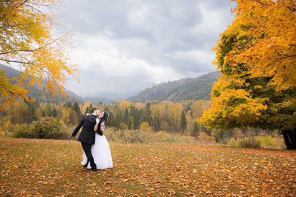 Stephenson Wedding 2023