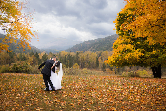 Stephenson Wedding 2023