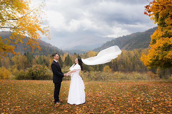 Stephenson Wedding 2023