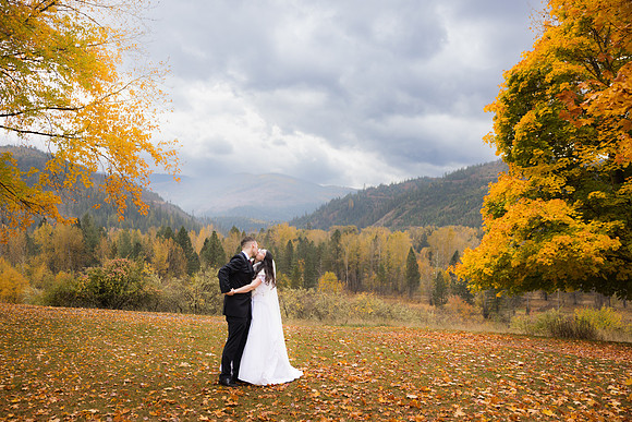 Stephenson Wedding 2023
