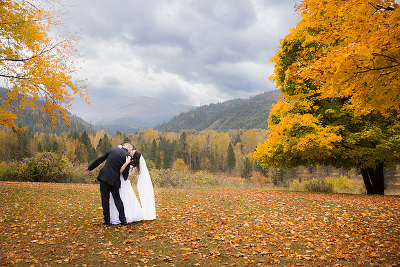 Stephenson Wedding 2023