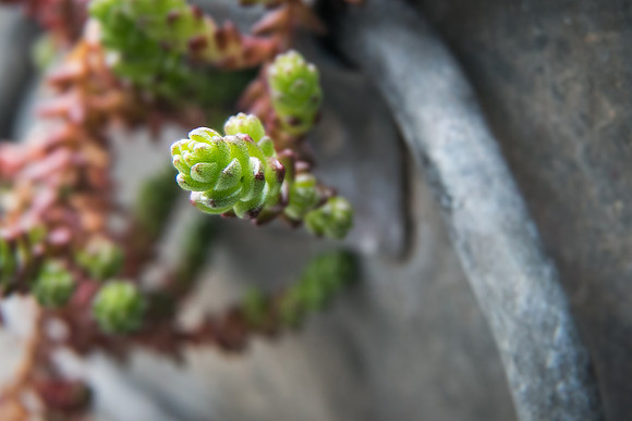 Andrea Jensen Photography