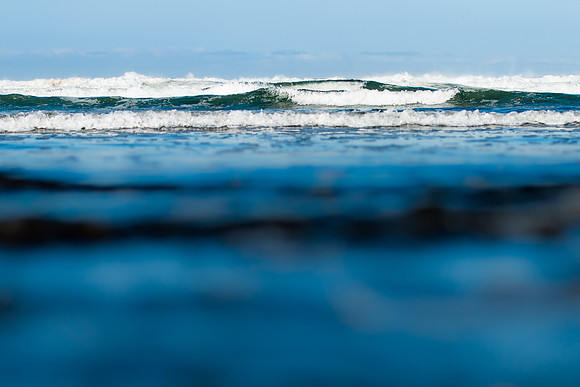 Andrea Jensen Photography