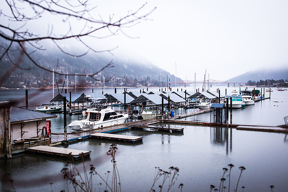 Andrea Jensen Photography