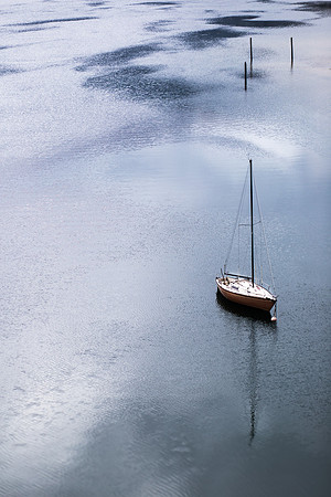 Andrea Jensen Photography