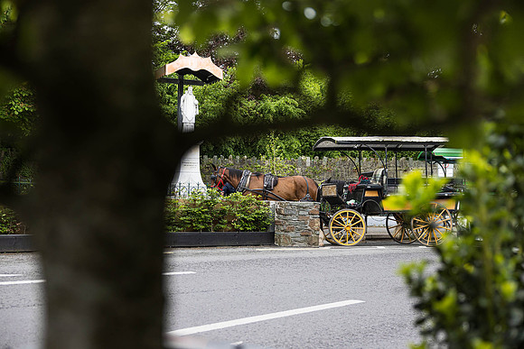 Ireland Killarney Day #7