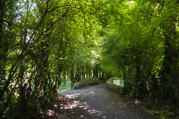 Ireland Travel Day to Galway 2023
