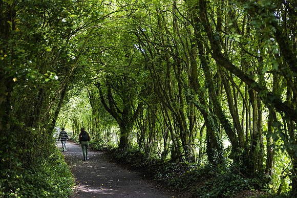 Ireland Travel Day to Galway 2023