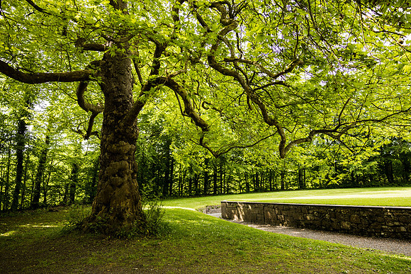 Ireland Travel Day to Galway 2023