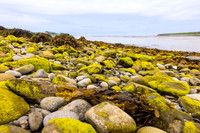 Ireland Galway/Cliffs of Moher 2023