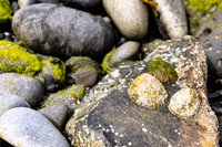 Ireland Galway/Cliffs of Moher 2023
