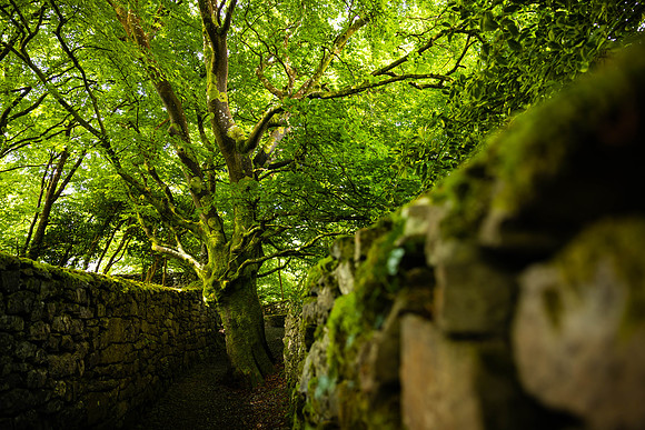Ireland Travel Day/Sligo 2023