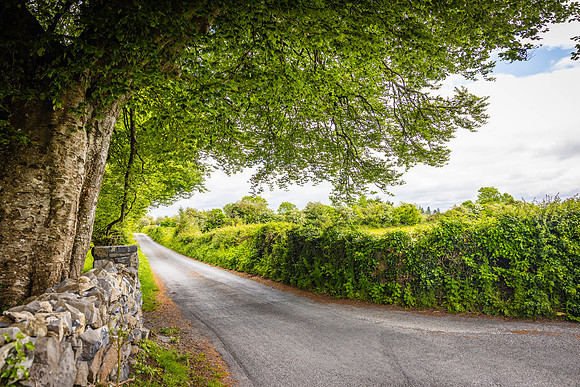 Ireland Travel Day/Sligo 2023