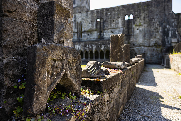Ireland Sligo Day #12 2023