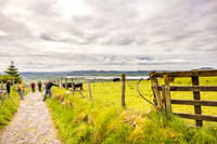 Ireland Travel Day/Derry 2023