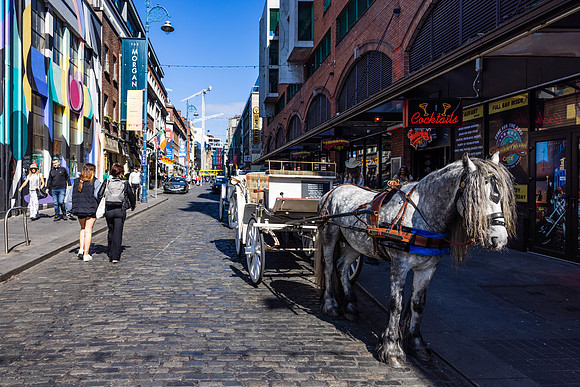 Ireland Free Day/Dublin 2023