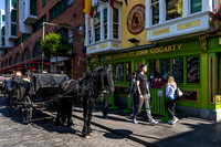 Ireland Free Day/Dublin 2023