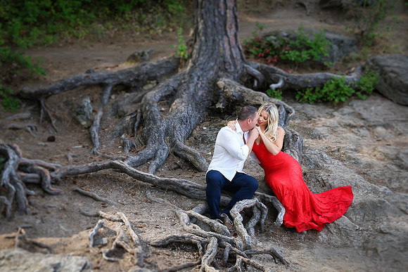 Rendon Engagement 2019
