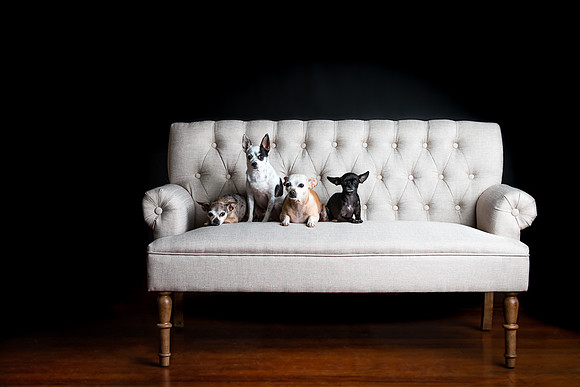 Andrea Jensen Photography