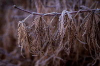 Andrea Jensen Photography