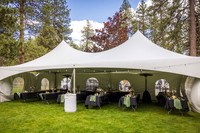 Lewis Wedding 2024