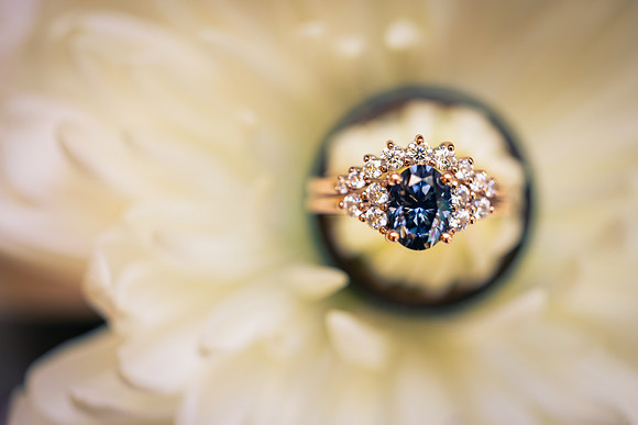 Jerry & Annie Allen Wedding 2024
