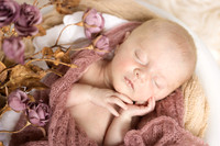 Andrea Jensen Photography Newborn