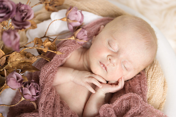 Andrea Jensen Photography Newborn
