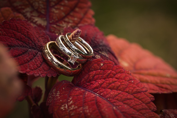 Matthew & Shannon Wedding 2024