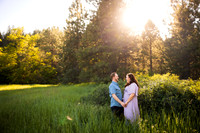 Jerry & Annie Engagement 2024