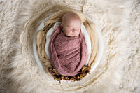 Andrea Jensen Photography Newborn