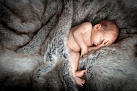 Andrea Jensen Photography Newborn
