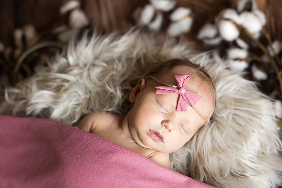 Andrea Jensen Photography Newborn